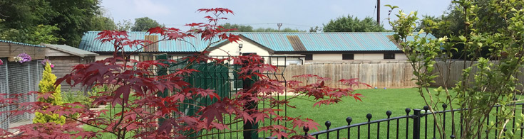 Kennel exterior with trees